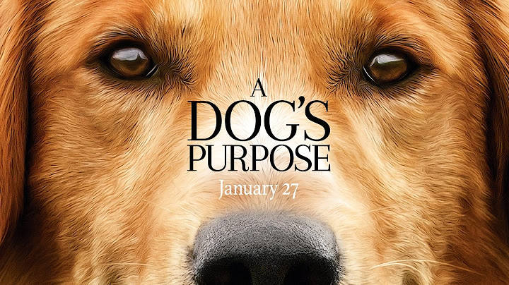 A Dog's Purpose (2017)