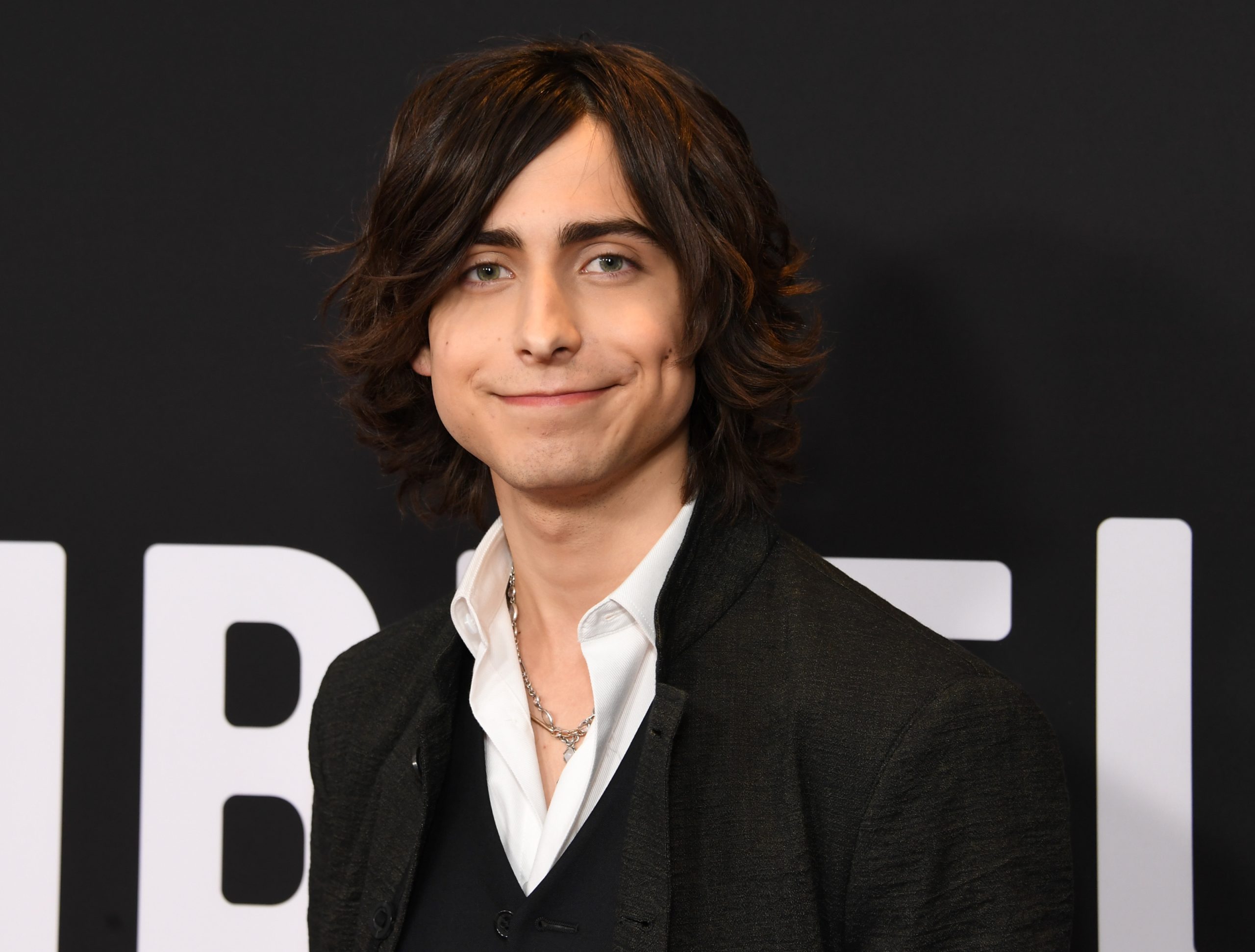 Aidan Gallagher Biography, Height, Weight, Age, Movies, Wife, Family ...