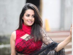 Anita Hassanandani Biography Height Age TV Serials Husband Family Salary Net Worth Awards Photos Facts More