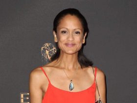 Anne Marie Johnson Biography Height Weight Age Movies Husband Family Salary Net Worth Facts More