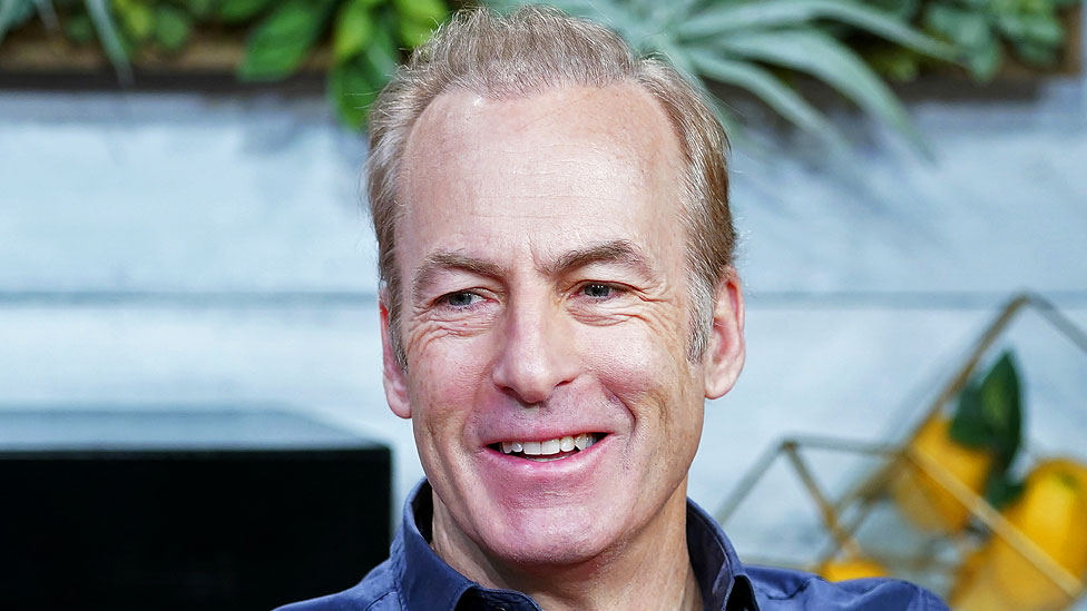 Bob Odenkirk as Hutch Mansell