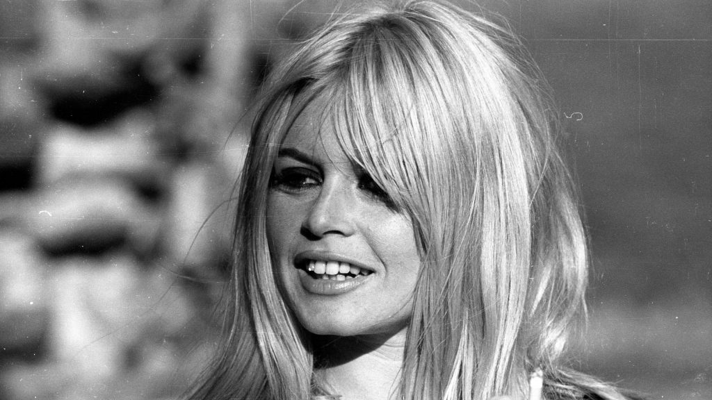 Brigitte Bardot net worth