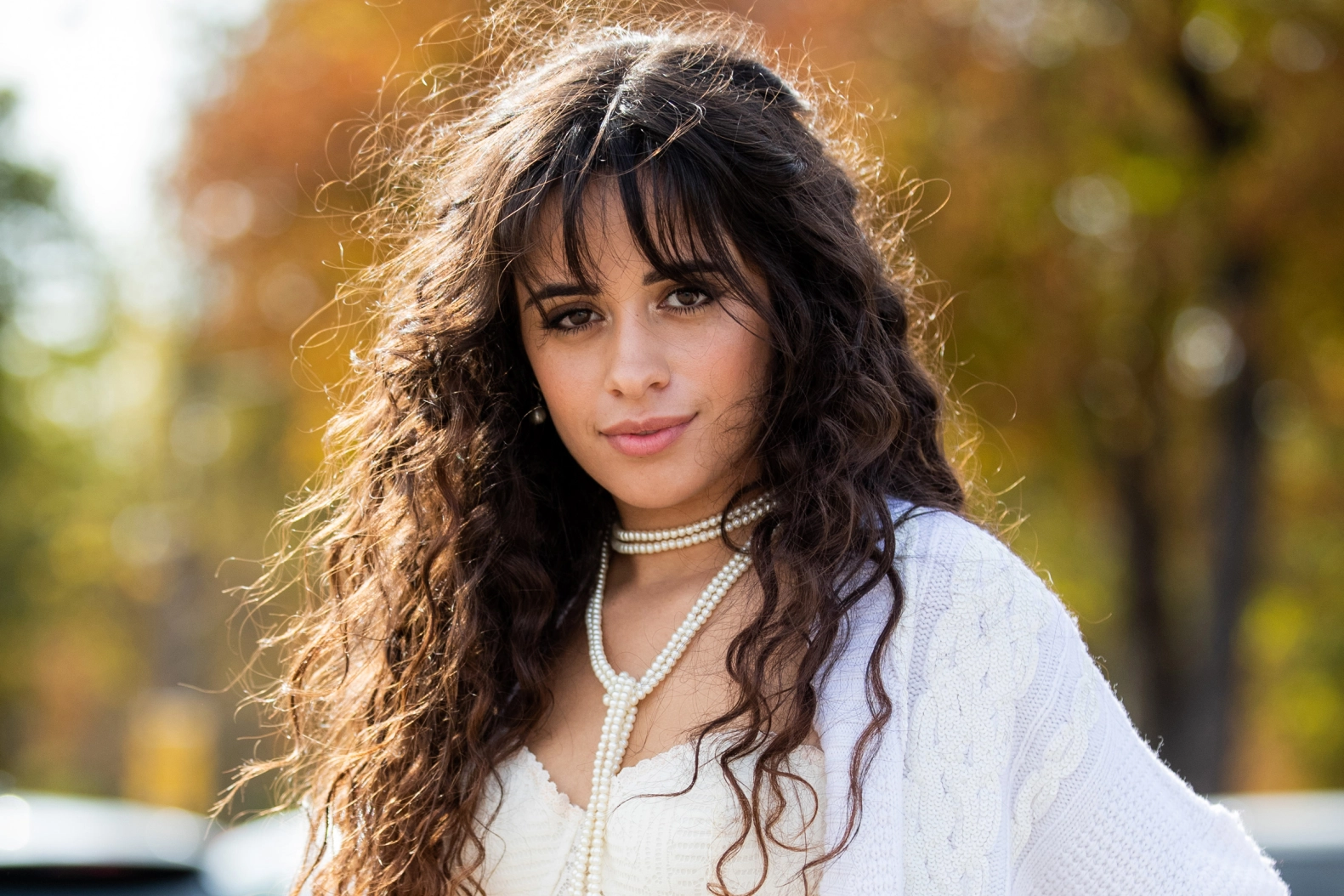 Camila Cabello Biography, Height, Weight, Age, Movies, Husband, Family ...