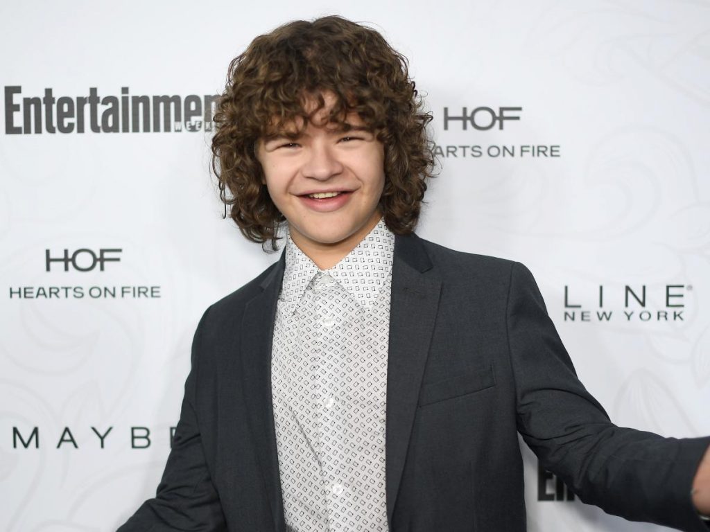 Gaten Matarazzo Biography, Height, Weight, Age, Movies, Wife, Family, Salary, Net Worth, Facts & More