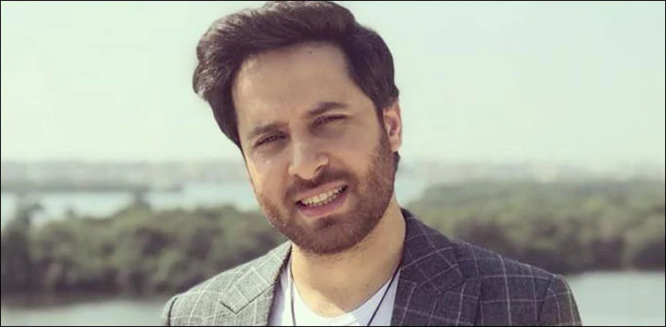 Haroon Shahid as Saffwan