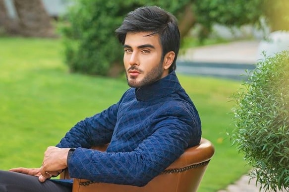 Imran Abbas as Hashir Abbas