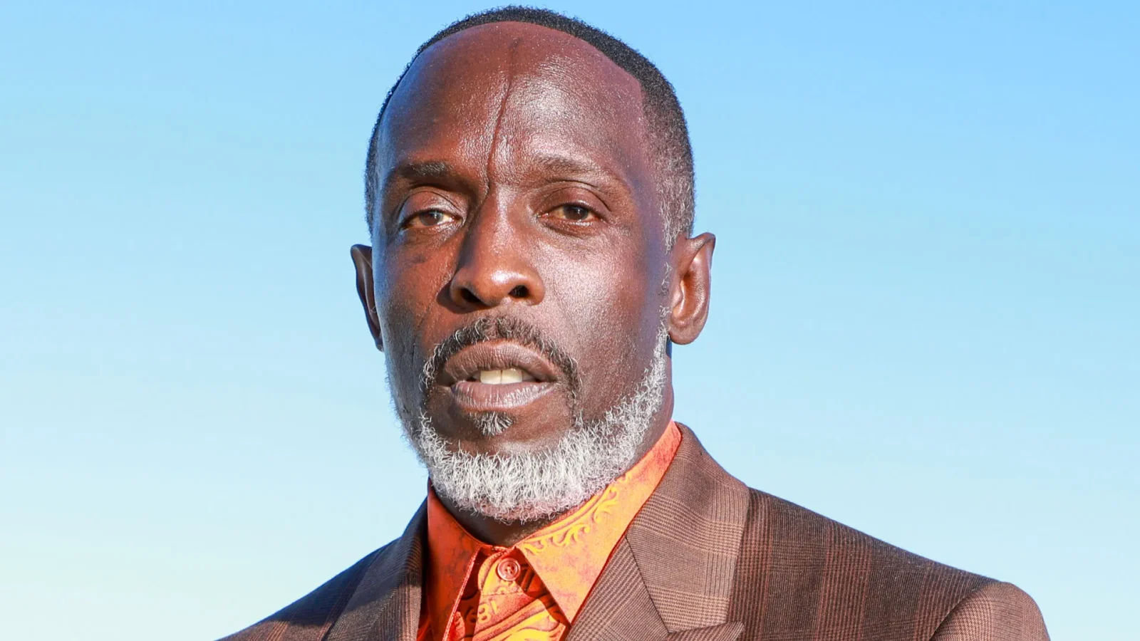 Michael K. Williams Biography Height Weight Age Movies Wife Family Salary Net Worth Facts More 2