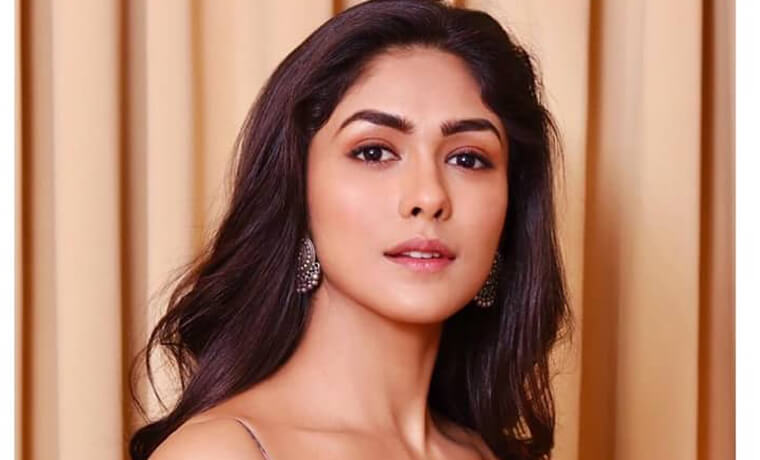 Mrunal Thakur Biography Height Age TV Serials Husband Family Salary Net Worth Awards Photos Facts More