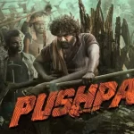 Pushpa The Rise