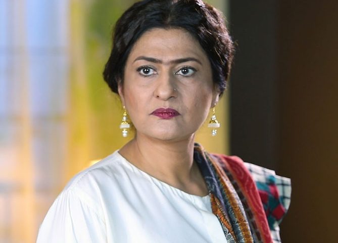 Saba Hameed as Aneesa