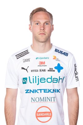 Some Lesser Known Facts About Gustav Engvall