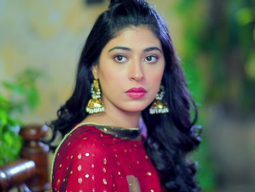 Sonia Mishal as Sumbul Aman Faheem