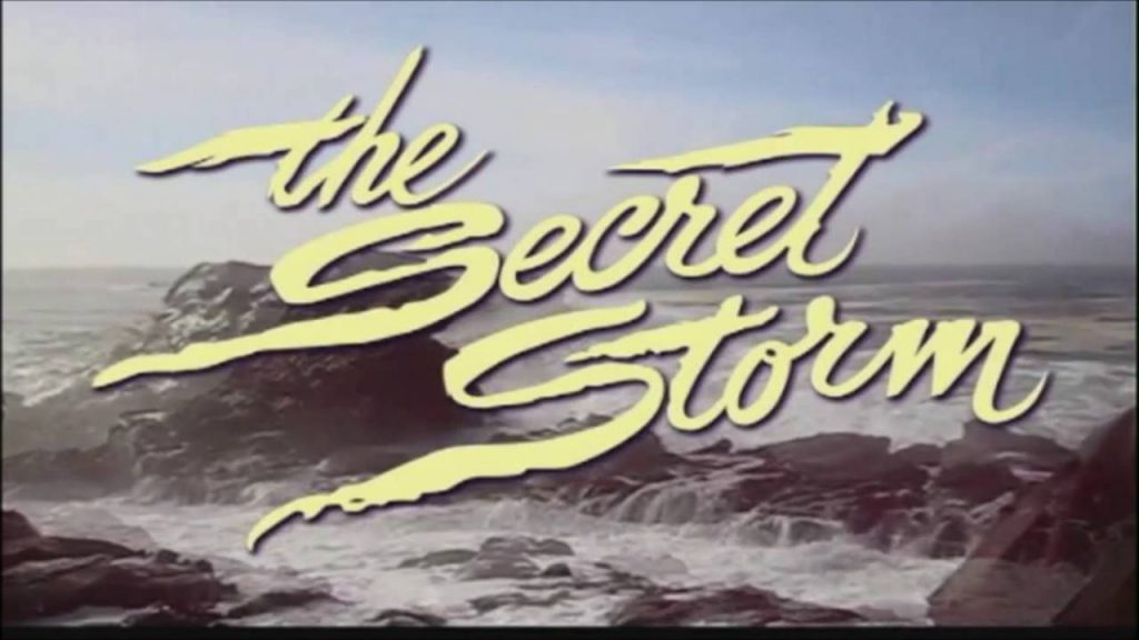 The Secret Storm (1972–73)