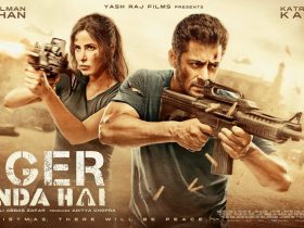 Tiger Zinda Hai 2017 Full Movie Analysis