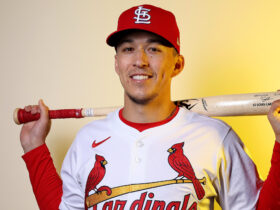 Tommy Edman Biography, Height, Weight, Age, Stats, Wife, Salary, Net Worth & More Tommy Edman Biography Height Weight Age Stats Wife Salary Net Worth More