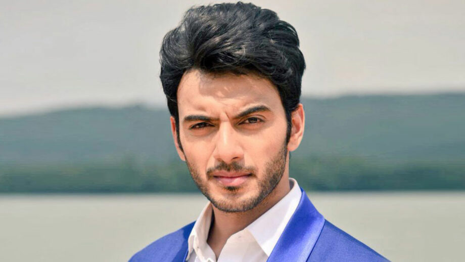 Vikram Singh Chauhan as Aniket Karm